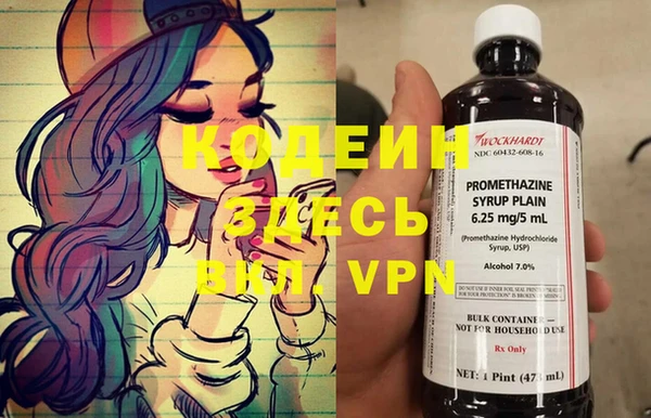 соль ск Новозыбков