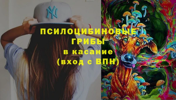 соль ск Новозыбков
