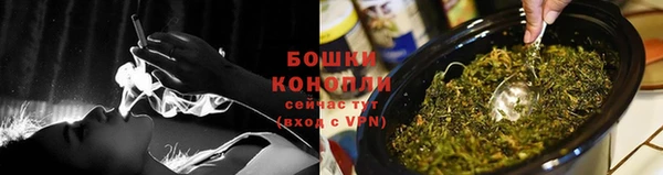 эйфоретик Новокубанск