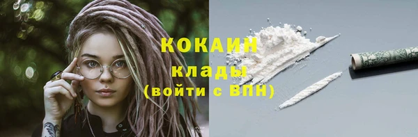 гидра Новодвинск