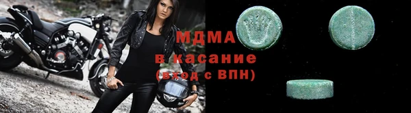 гидра Туринск
