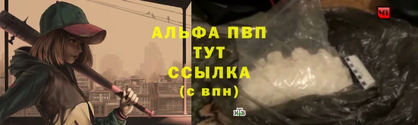 гидра Новодвинск