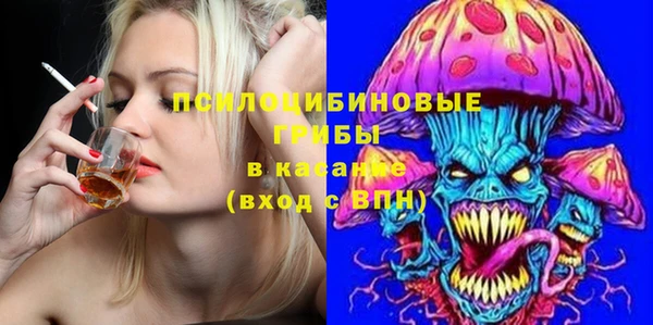 a pvp Няндома