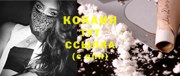 соль ск Новозыбков