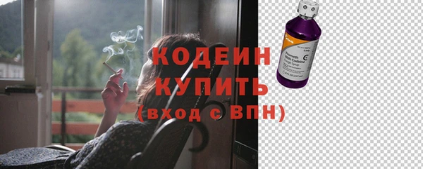 ГАЛЛЮЦИНОГЕННЫЕ ГРИБЫ Строитель
