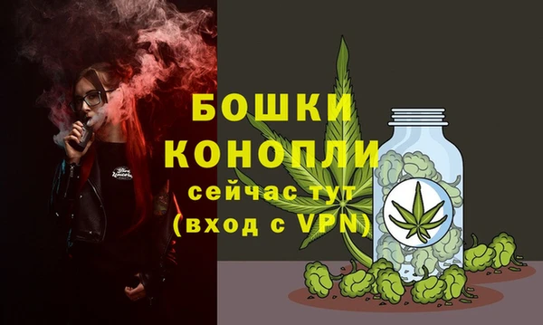 гидра Новодвинск