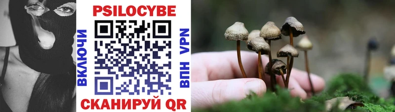 Псилоцибиновые грибы Psilocybine cubensis  продажа наркотиков  Серов 