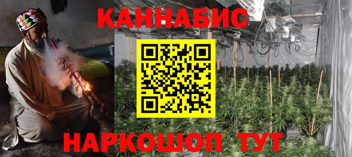 Шишки марихуана гибрид  МАРИХУАНА планчик  Вход с VPN  Серов  Шишки марихуана конопля 